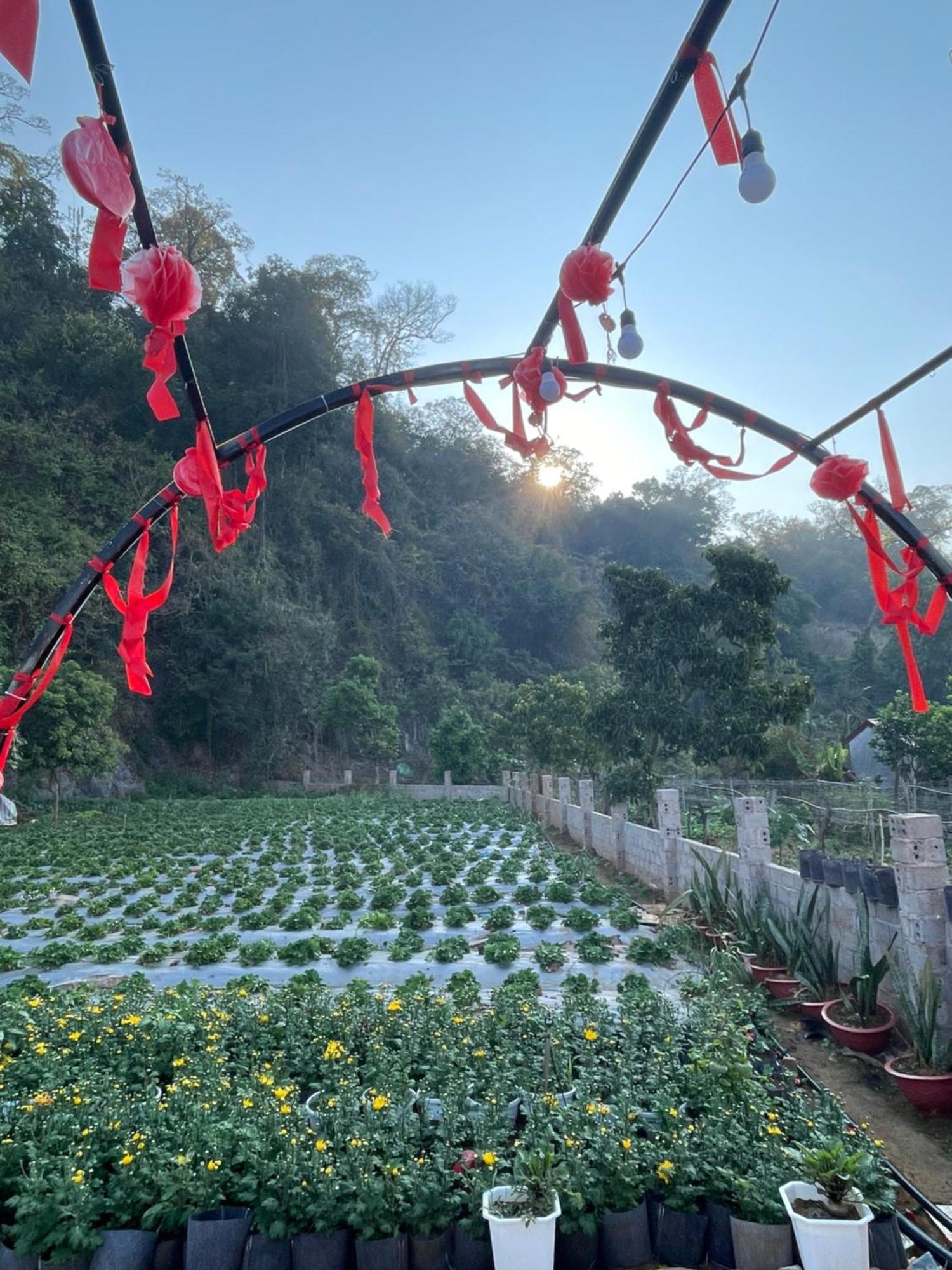 Moc Homestay Moc Chau Kültér fotó